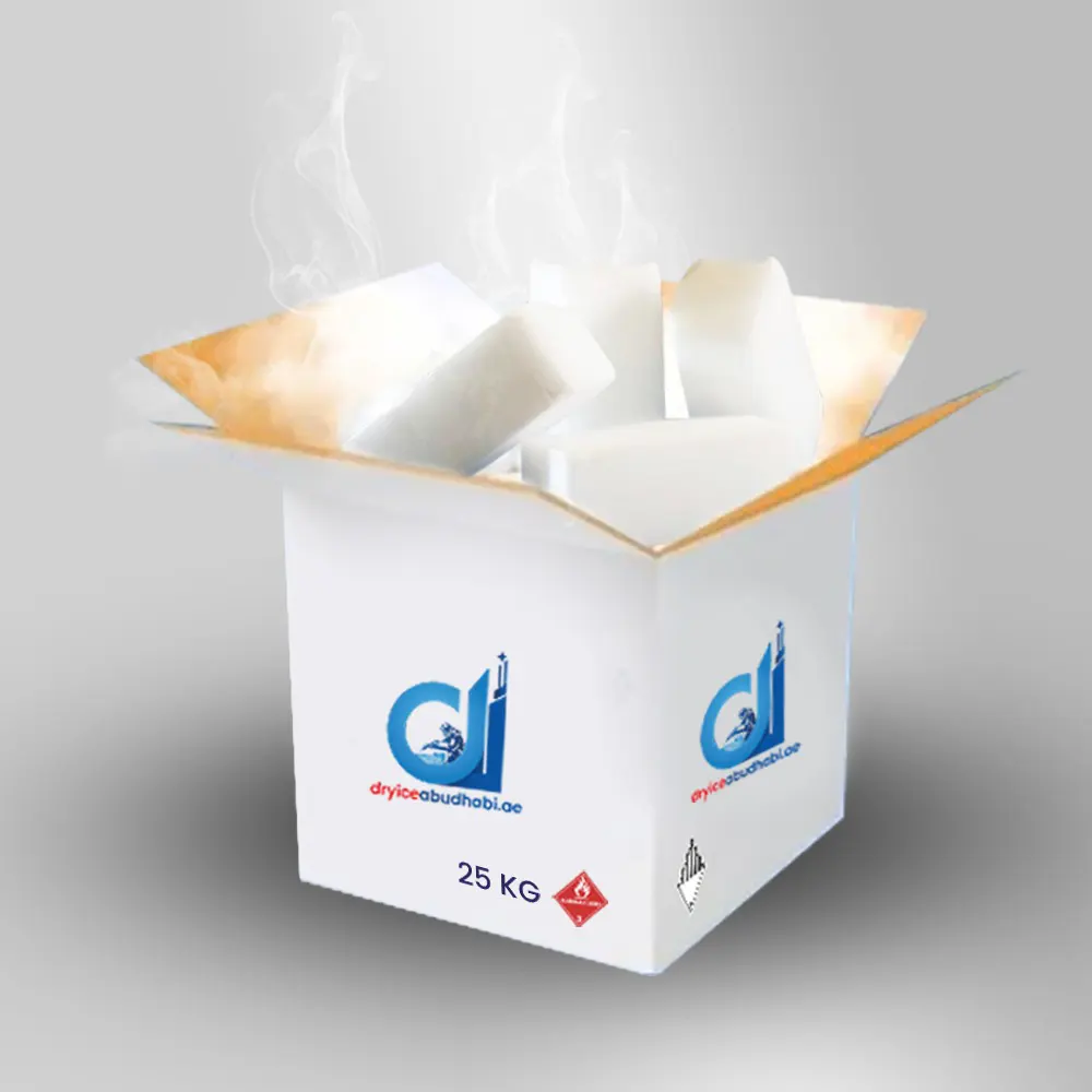 Insulated styrofoam box used for dry ice and cold chain shipping in Abu Dhabi