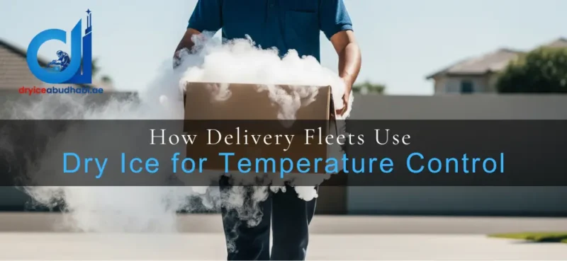 How Delivery Fleets Use Dry Ice for Temperature Control